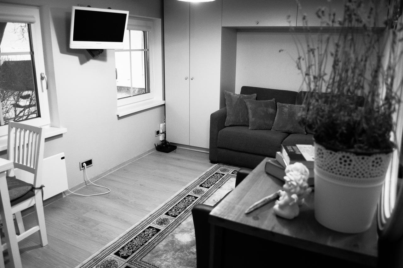 Skruzdynes Apartamentai Nida Buitenkant foto
